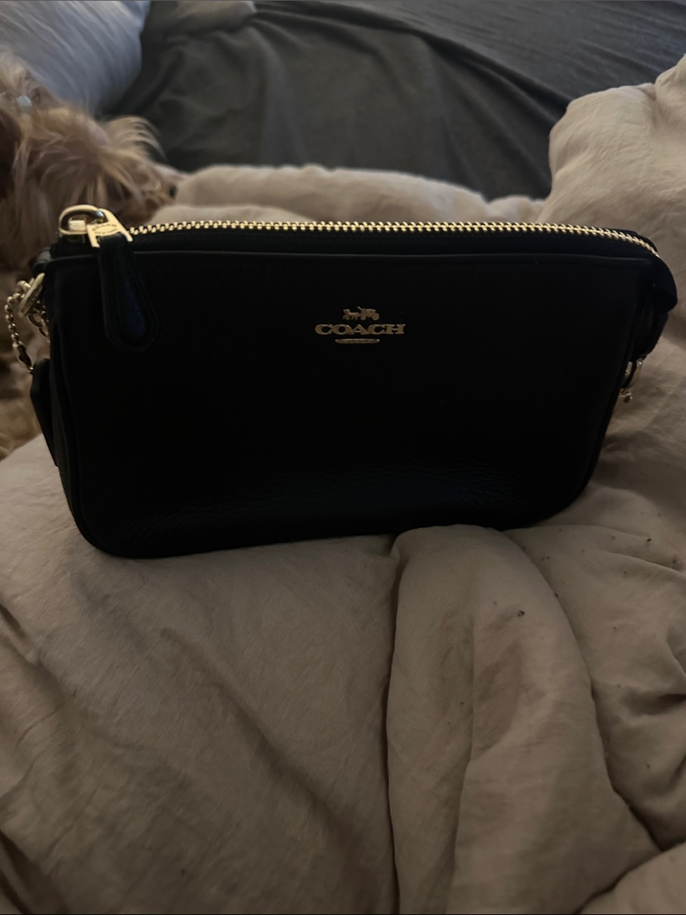 Coach Black Clutch and Wristlet Set - Picture 5 of 9